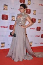 Richa Chadda at Stardust Awards 2013 red carpet in Mumbai on 26th jan 2013 (522).JPG